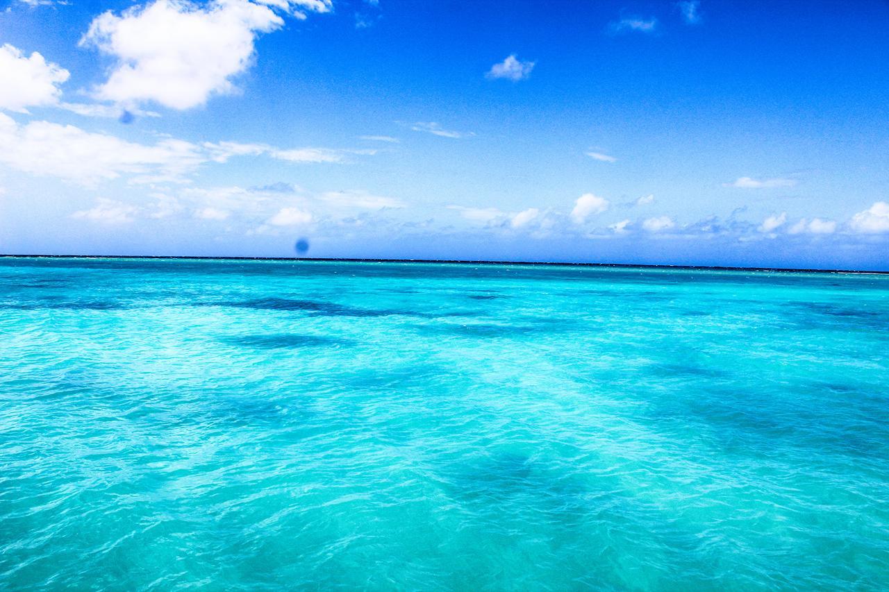 Seagarden Beach Resort Montego Bay Eksteriør bilde